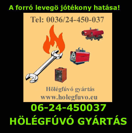 HŐLÉGFÚVÓ GYÁRTÁS! www.hőlégfúvó.com